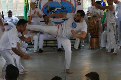 IMG 0133