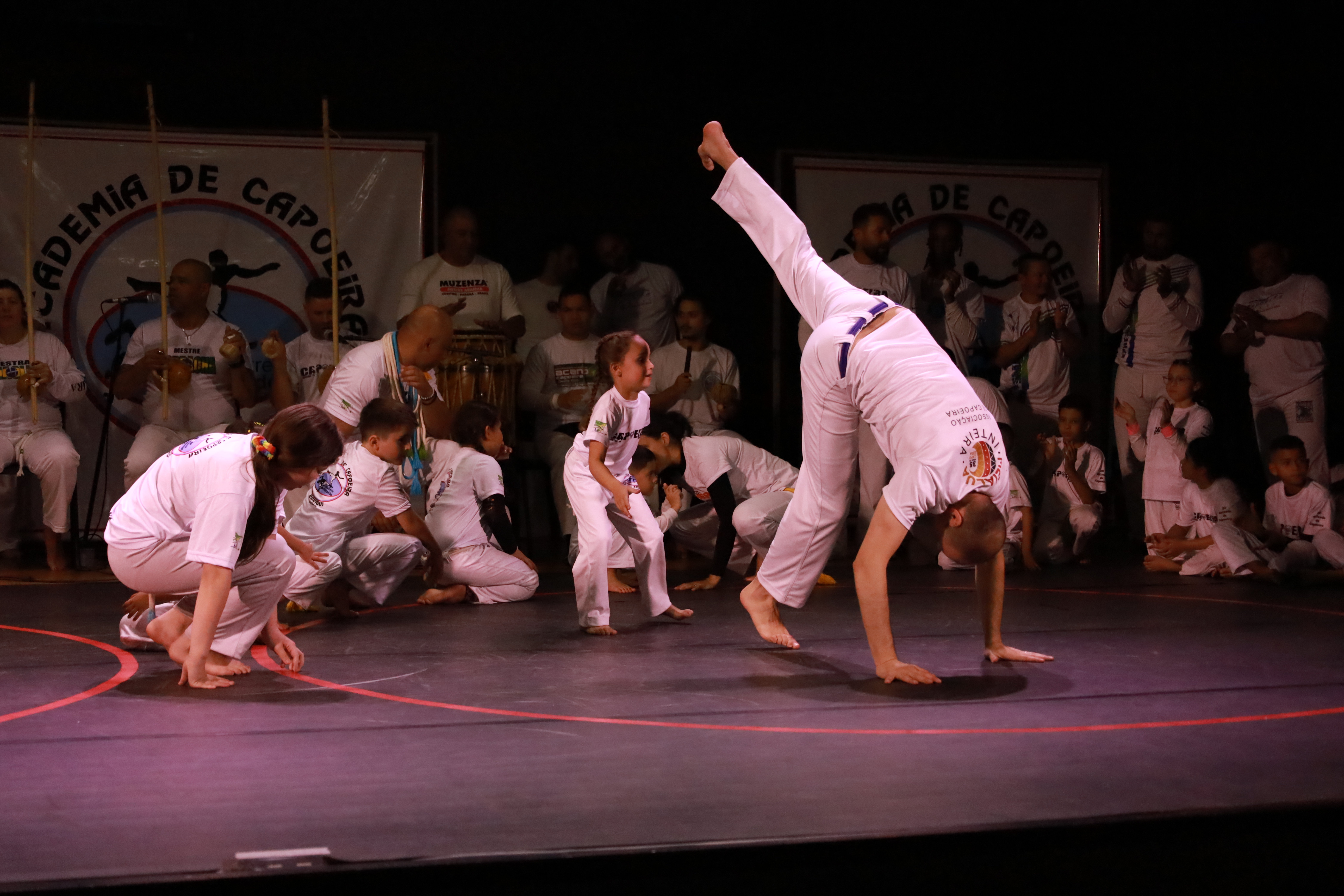IMG 7084