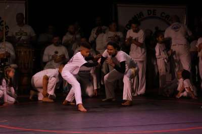 IMG 7417