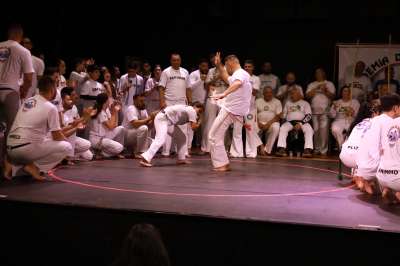 IMG 7645