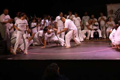 IMG 7655