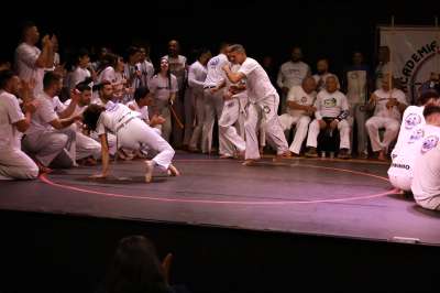 IMG 7684