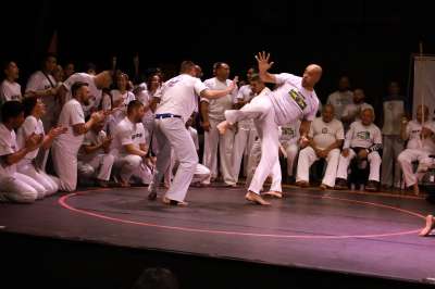 IMG 7719